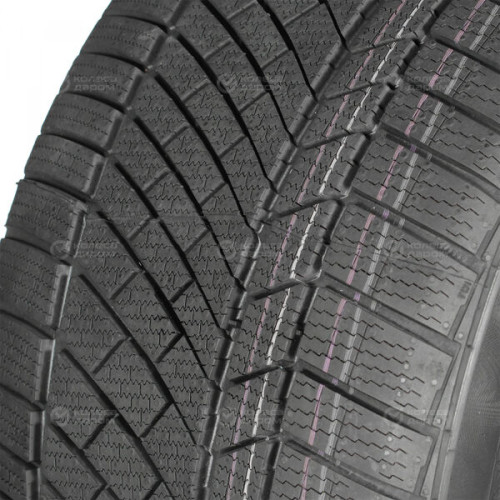 Continental Conti Winter Contact TS 830 P 295/35 R19 100V (омологация)