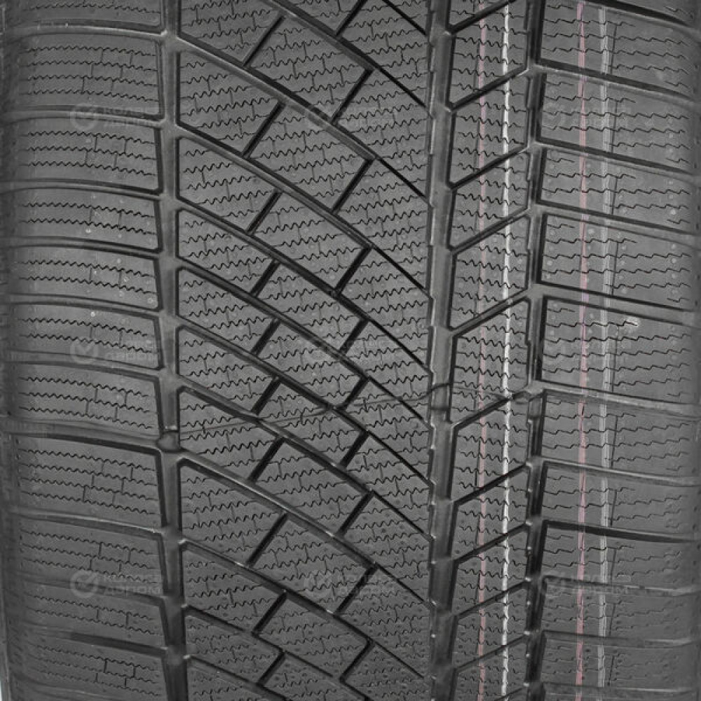 Continental Conti Winter Contact TS 830 P 295/35 R19 100V (омологация)
