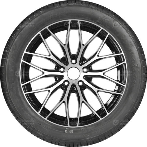 Бел BEL-262 Artmotion 205/55 R16 91H