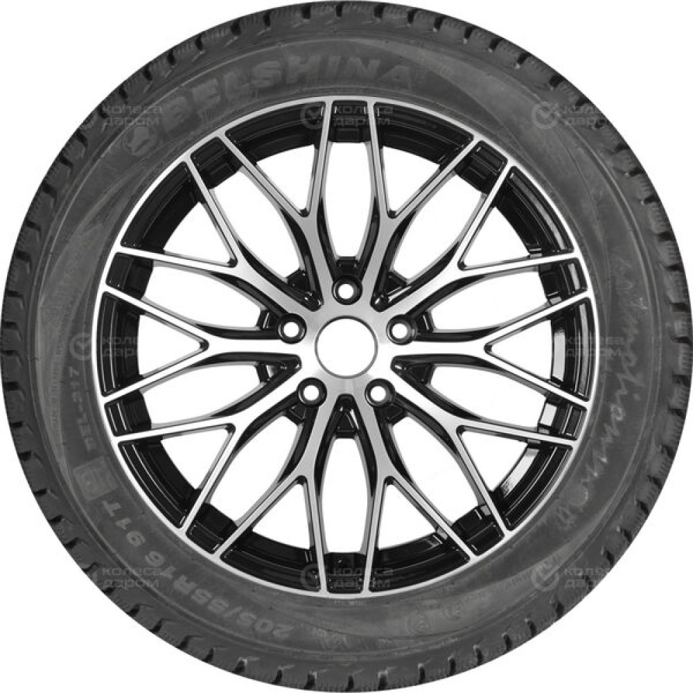 Бел BEL-317 Artmotionsnow 205/55 R16 91T
