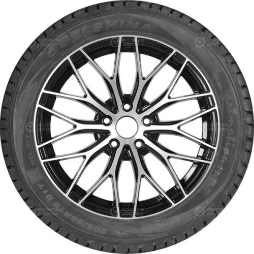 Бел BEL-317 Artmotionsnow 205/55 R16 91T