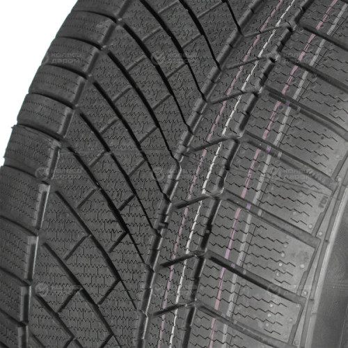 Continental Conti Winter Contact TS 830 P 275/40 R19 101V