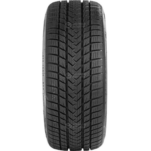 Gripmax SureGrip Pro Winter 315/30 R21 105V
