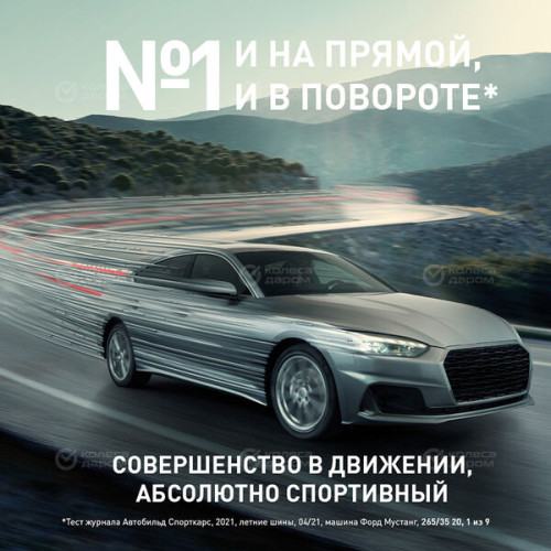 Bridgestone Potenza Sport 295/35 R21 107Y